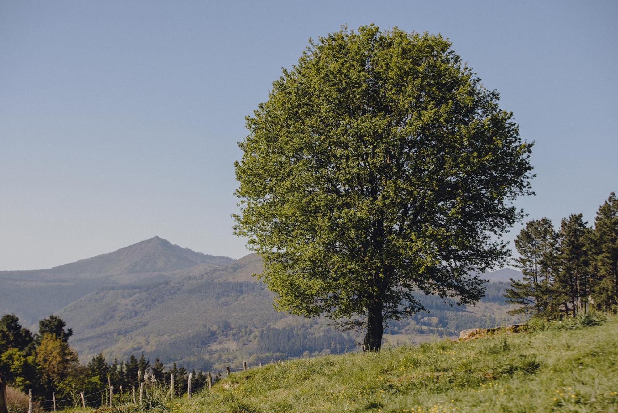 Amalurra Ecohotel & Retreat Center Laiseca Екстер'єр фото